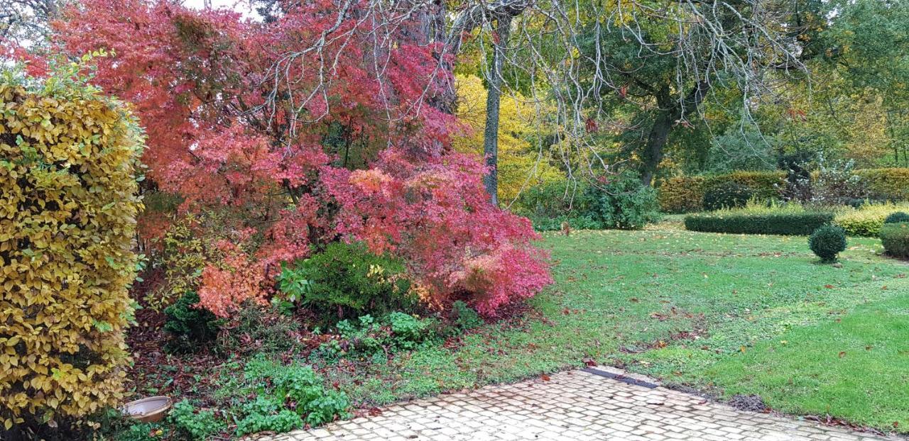 Huisseau-sur-Cosson La Taille De Biou B&B 외부 사진
