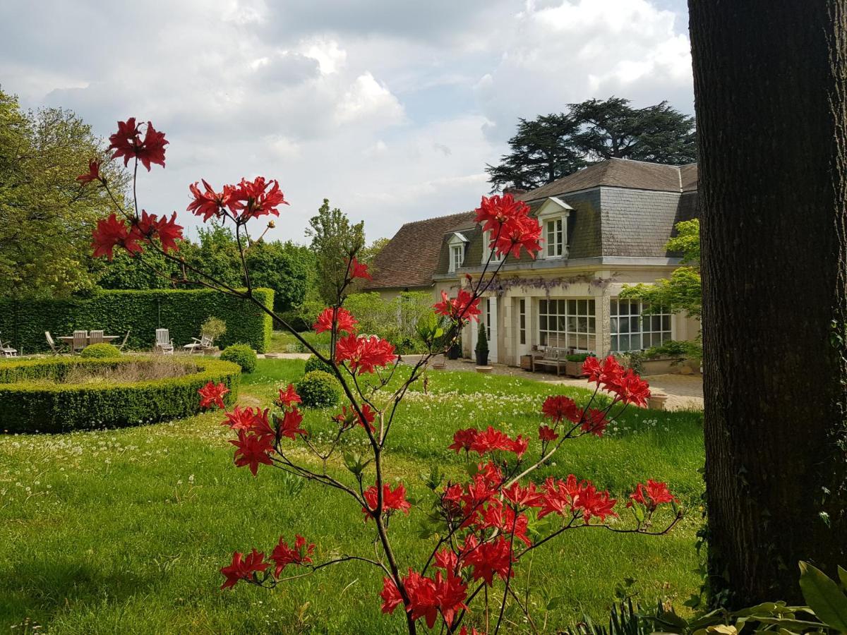 Huisseau-sur-Cosson La Taille De Biou B&B 외부 사진