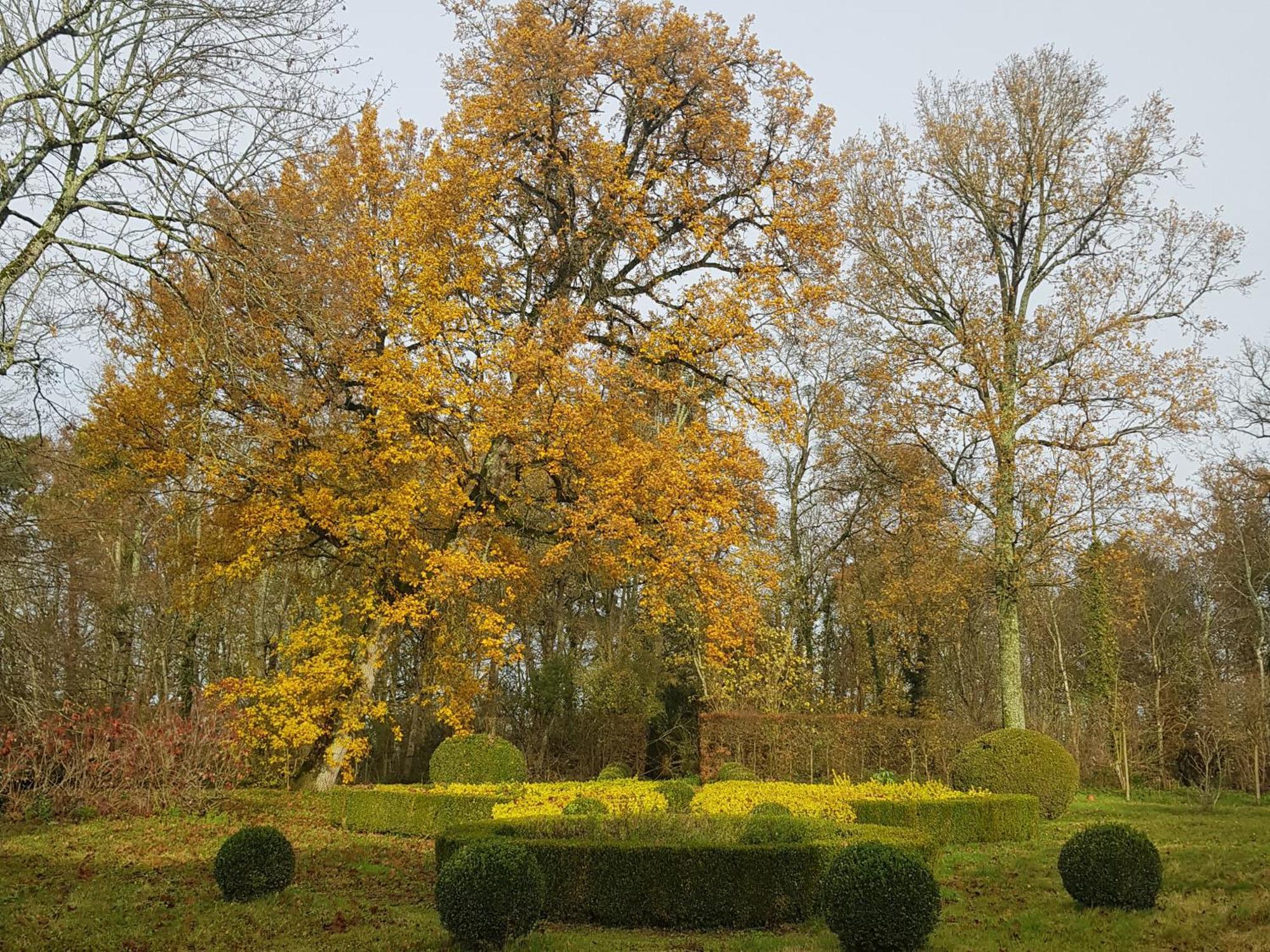 Huisseau-sur-Cosson La Taille De Biou B&B 외부 사진